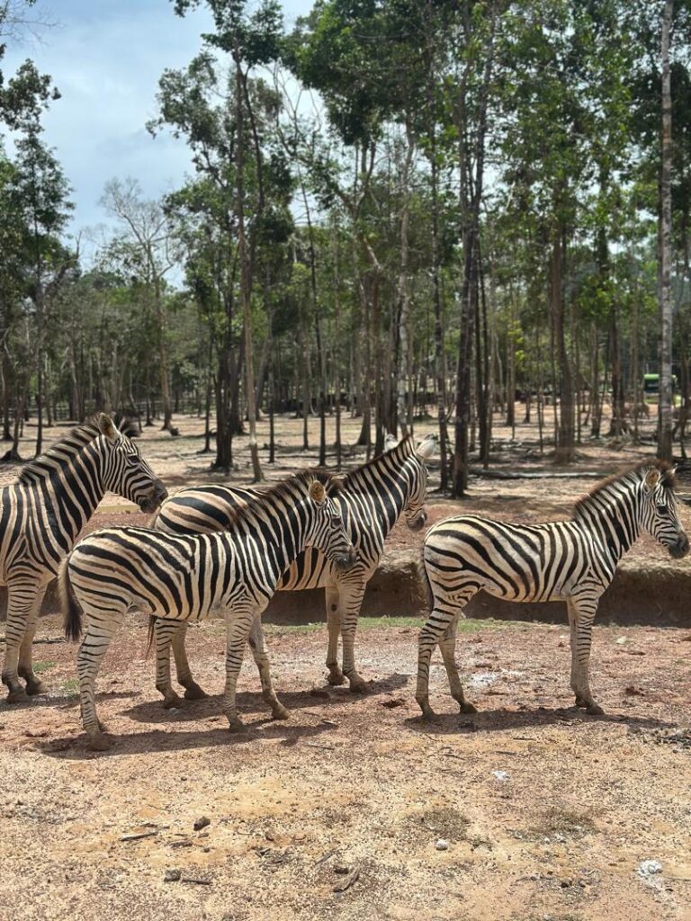 WhatsApp Image 2026-03-04 at 11.39.38 PM (1)