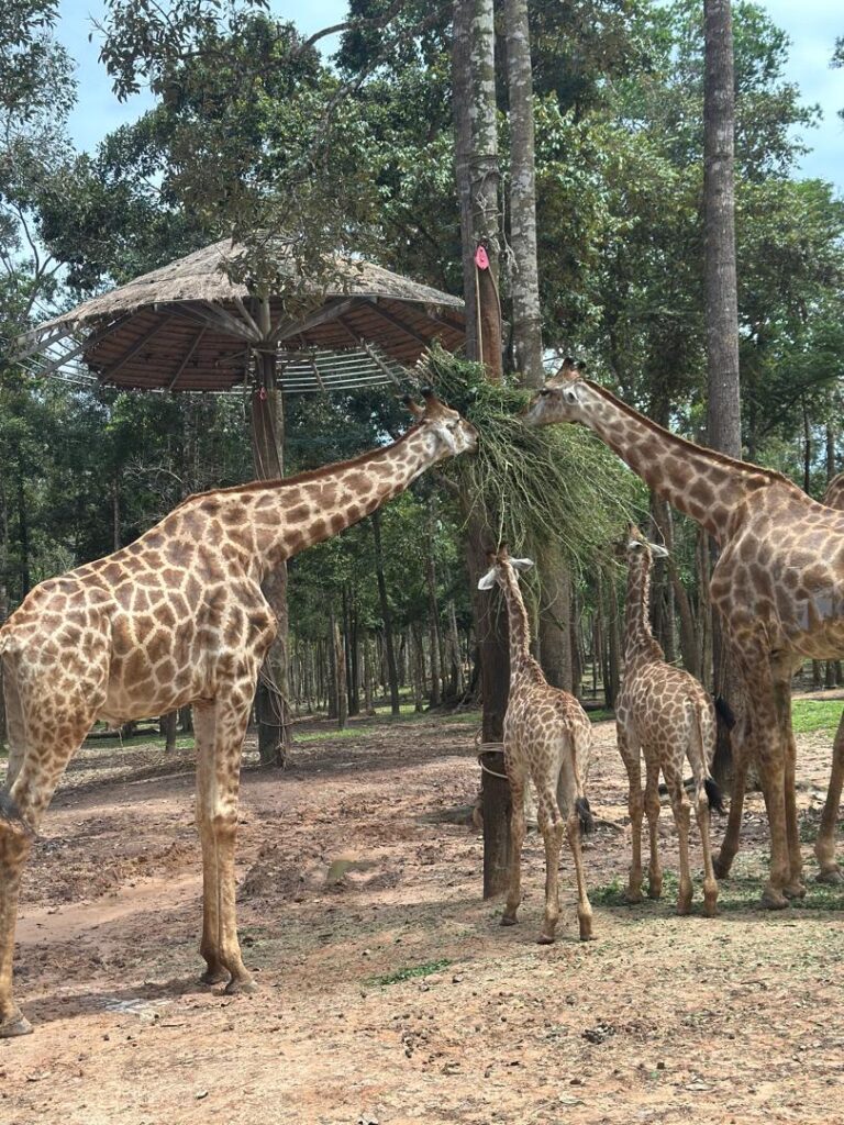 WhatsApp Image 2026-03-04 at 11.39.38 PM (2)